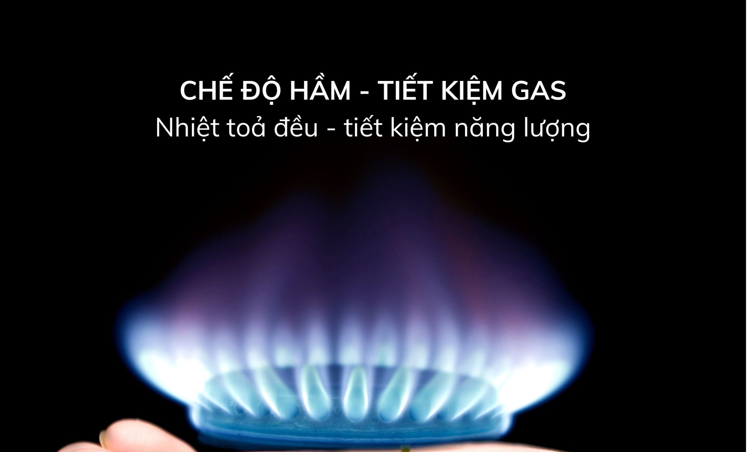 Www.kingmaster.com.vn (9)